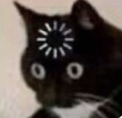 short circuting cat Meme Template