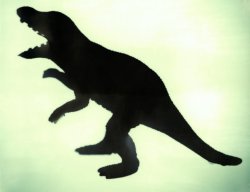 Ditto Mirror Image Mode Meme Template