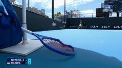 Tennis Meme Template