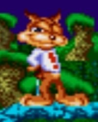 O bubsy Meme Template
