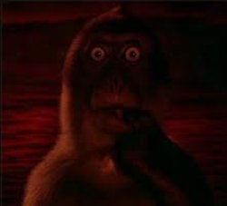 Demonkey Meme Template