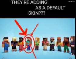 THEIR ADDING MY ASS HAIRS REAL LIFE AS A DEFAULT SKIN??? Meme Template