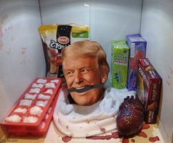 Donald Trump's head refrigerator Meme Template