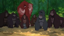 Tarzan Group Photo Meme Template