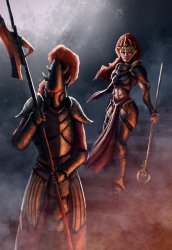 Age of Sigmar Meme Template