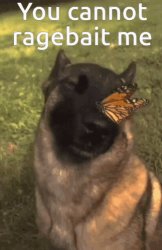 Ragebait doesn’t work on me :) Meme Template