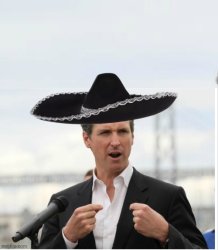 Greasy Gavin Newsom bragging Meme Template