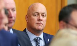 Look at you scum Meme Template