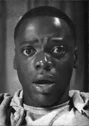 Stupid black ñigger Meme Template