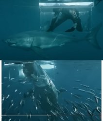 Apex Man Lunch Meme Template