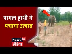 Pagal Haati Ne Machya Utpaat Meme Template