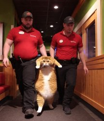 Chrisjoines1 Meme Template