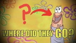 where did they go? Meme Template