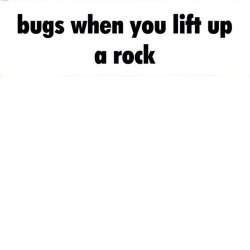 Bugs when you lift up a rock Meme Template
