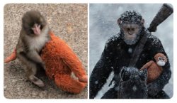 Punch future Meme Template