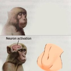 Monkey Meme Template