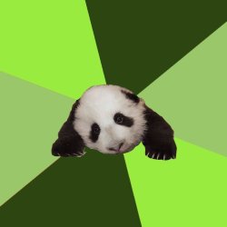 Passive Aggressive Panda Meme Template