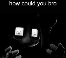 how could you bro Meme Template