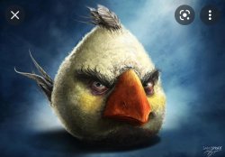 realistic angry bird Meme Template