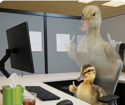 Duck office Meme Template