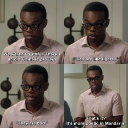 Lies are like tigers. They are bad. Meme Template