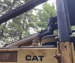 Chrisjoines1 Meme Template