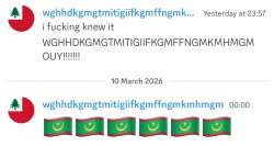 wgwhhfjfjfk(whatever that keyboard smash username is) OUY!!!!!!! Meme Template