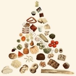 Food Mirror Image Mode Meme Template