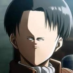 Levi stupid Meme Template