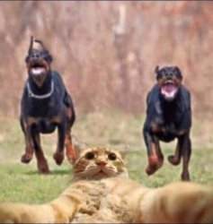 Chrisjoines1 Meme Template