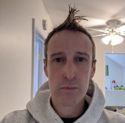 Companion Meme Template