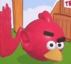 angry bird ear Meme Template