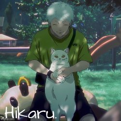 dai hikaru temp Meme Template