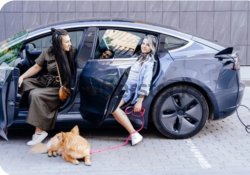 Zia chi è Vasco? Meme Template