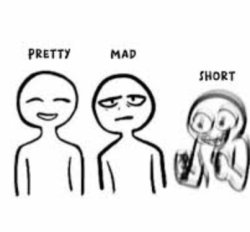 pretty,mad,short Meme Template