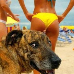 Chrisjoines1 Meme Template