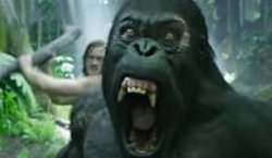 gorilla Meme Template