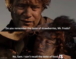Sam and Frodo remember the taste Meme Template