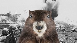 Shellshocked Marmot Meme Template