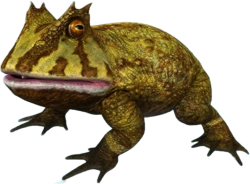 Beelzebufo (JWA Design) Meme Template