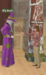 WIZARD Meme Template