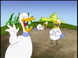 Three Laughing Ducks Meme Template