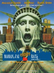 Maman j’ai encore raté … Meme Template