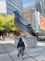 GIANT PIGEON Meme Template