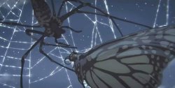 spider x butterfly Meme Template