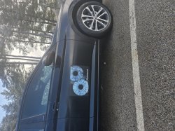 Slavic Life Movement Meme Template