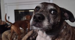 It's your reflection Meme Template