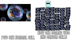 What the Cancer Meme Template