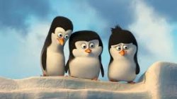 penguins Meme Template