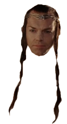 Elrond Head Meme Template